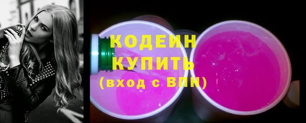прущие грибы Вяземский