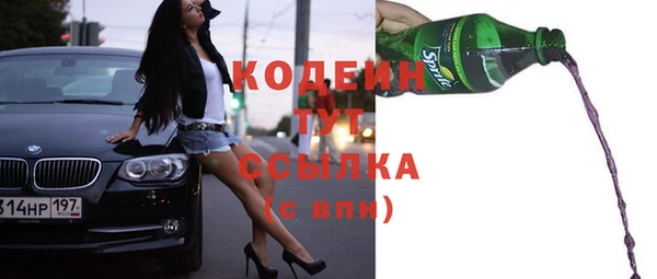 прущие грибы Вяземский