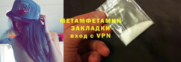 прущие грибы Вяземский