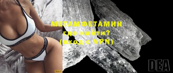 прущие грибы Вяземский