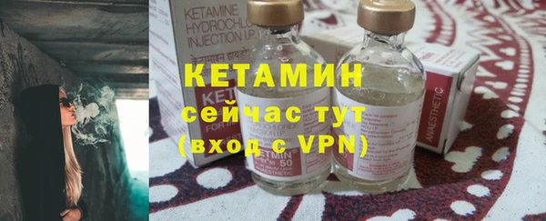 прущие грибы Вяземский