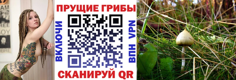Галлюциногенные грибы Cubensis  Купить где  Мураши 