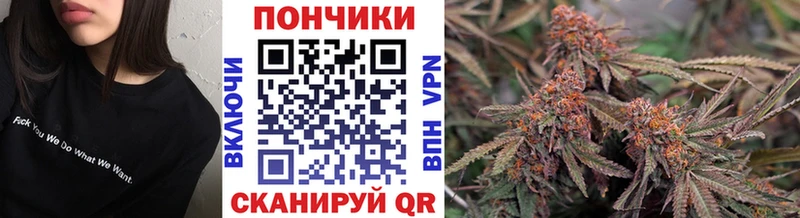 Каннабис план  Купить закладки  Мураши 